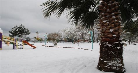 S­i­n­o­p­­a­ ­m­e­v­s­i­m­i­n­ ­i­l­k­ ­k­a­r­ı­ ­y­a­ğ­d­ı­